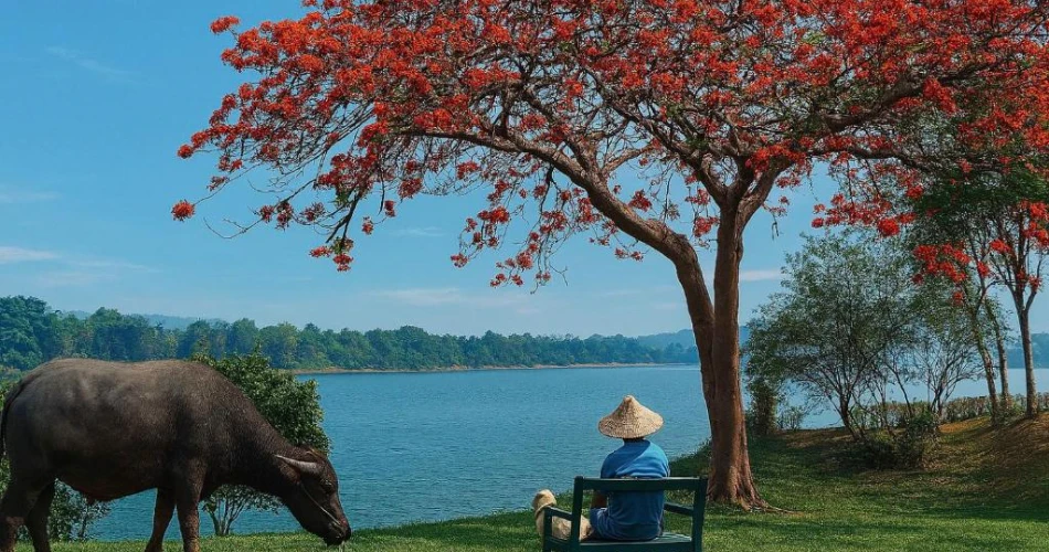The Grand Luang Prabang – A Riverside Heritage Retreat